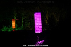 fotografie-42