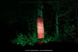 fotografie-43