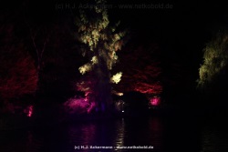 fotografie-51