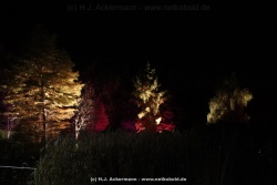 fotografie-53