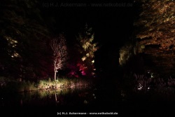 fotografie-54