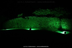 fotografie-61
