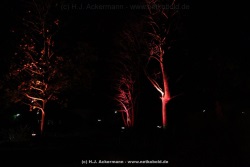 fotografie-6