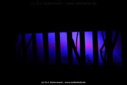 fotografie-20