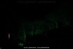 fotografie-29