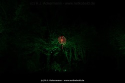 fotografie-30