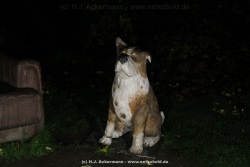 fotografie-33