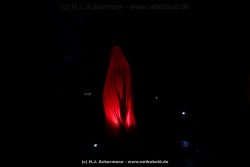 fotografie-42