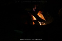 fotografie-19