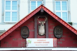 fotografie-12