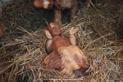fotografie-33