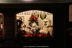 fotografie-105