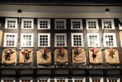 fotografie-5
