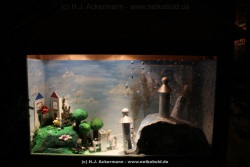fotografie-149