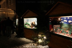 fotografie-157