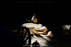 fotografie-182