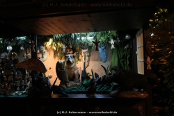 fotografie-142