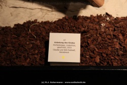 fotografie-16