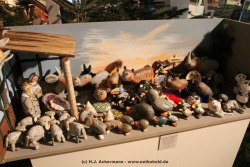 fotografie-11