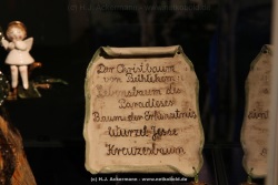 fotografie-149
