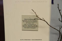 fotografie-5