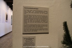 fotografie-63
