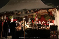 fotografie-51