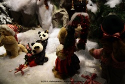 fotografie-24