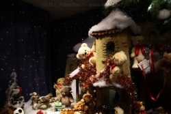 fotografie-54