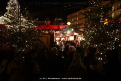 fotografie-29