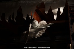 fotografie-56