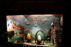 fotografie-36