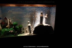 fotografie-38