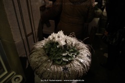 fotografie-31