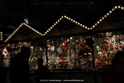 fotografie-4
