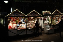 fotografie-6