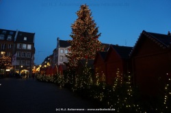 fotografie-11