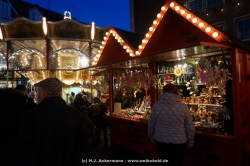 fotografie-19