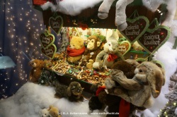fotografie-15