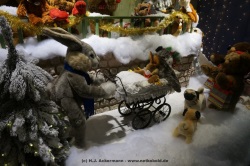 fotografie-16
