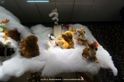 fotografie-36