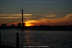 fotografie-8