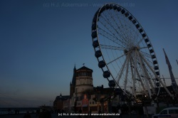 fotografie-10