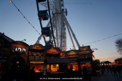 fotografie-31