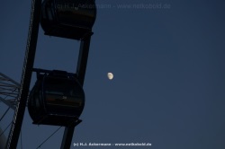 fotografie-41