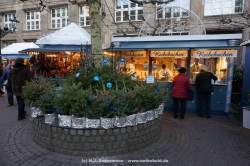 fotografie-15