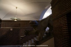 fotografie-1