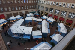 fotografie-29