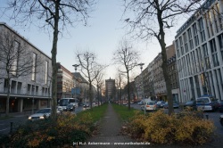 fotografie-35