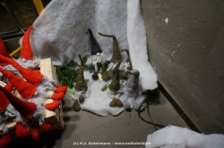 fotografie-15